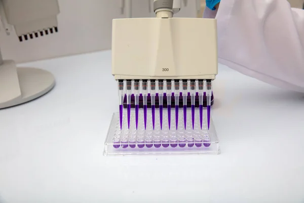 Multi channel pipette loading biological samples in microplate for test in the laboratory / Multichannel pipette load samples in pcr microplate with 96 wells.