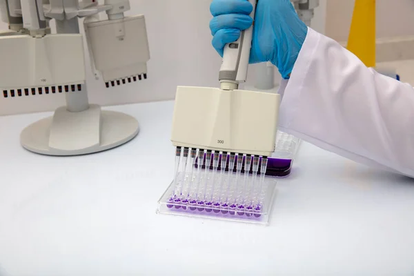 Multi channel pipette loading biological samples in microplate for test in the laboratory / Multichannel pipette load samples in pcr microplate with 96 wells.