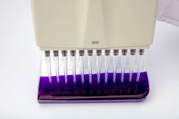 Pipeta Multicanal Carregando Amostras Biológicas Microplaca Para Teste Laboratório Amostras — Fotografia de Stock