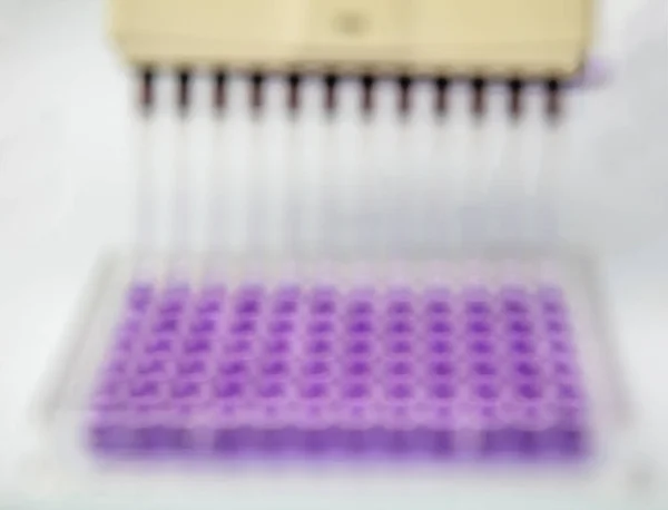 Multi channel pipette loading biological samples in microplate for test in the laboratory / Multichannel pipette load samples in pcr microplate with 96 wells.