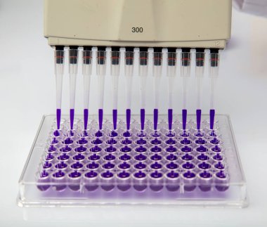 Laboratuvar / Çok kanallı pipet yükleme örneklerinde test için mikro plakaya 96 kuyuya biyolojik örnekler yükleyen çok kanallı pipet..