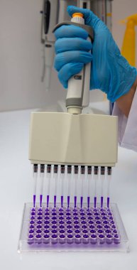Laboratuvar / Çok kanallı pipet yükleme örneklerinde test için mikro plakaya 96 kuyuya biyolojik örnekler yükleyen çok kanallı pipet..