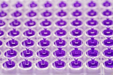 Laboratuvar / Çok kanallı pipet yükleme örneklerinde test için mikro plakaya 96 kuyuya biyolojik örnekler yükleyen çok kanallı pipet..