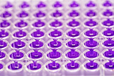 Laboratuvar / Çok kanallı pipet yükleme örneklerinde test için mikro plakaya 96 kuyuya biyolojik örnekler yükleyen çok kanallı pipet..