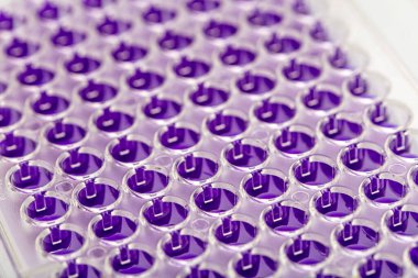 Laboratuvar / Çok kanallı pipet yükleme örneklerinde test için mikro plakaya 96 kuyuya biyolojik örnekler yükleyen çok kanallı pipet..