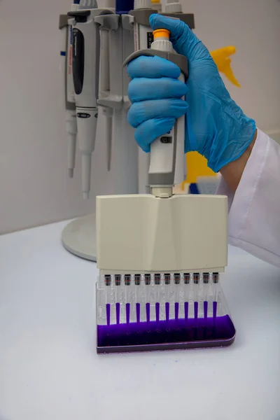 Pipeta Multicanal Cargando Muestras Biológicas Microplaca Para Prueba Laboratorio Pipeta —  Fotos de Stock