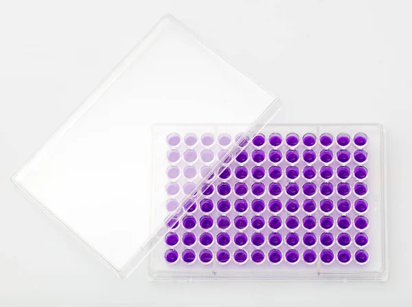 Multi channel pipette loading biological samples in microplate for test in the laboratory / Multichannel pipette load samples in pcr microplate with 96 wells.