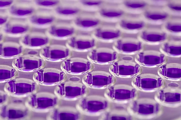 Laboratuvar / Çok kanallı pipet yükleme örneklerinde test için mikro plakaya 96 kuyuya biyolojik örnekler yükleyen çok kanallı pipet..