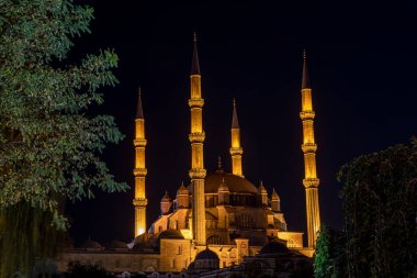 Selimiye Camii, Osmanlı İmparatorluğu 'nun Edirne şehrinde bulunan bir camidir. Selimiye Camii 'nden heykel ve heykellerle genel manzara.