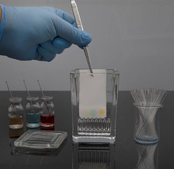 Colorful sample application of thin layer chromatography. The process of developing samples in the tlc system for analysis of compound's purity.