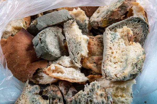 Makrofotografie Von Grunem Mehltau Auf Einem Altbackenen Brot Oberflache Von Schimmeligem Brot Verdorbenes Brot Mit Schimmel Schimmelpilz Auf Morschem Brot Ansicht Von Oben Nicht Essbar Verschwendung Stock Photo 387832308