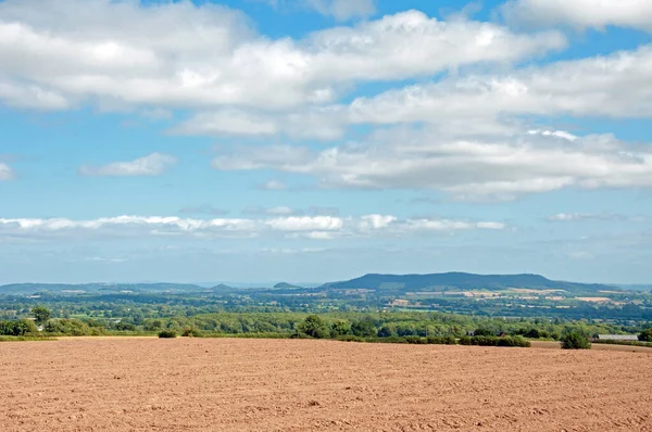 Herefordshire, İngiltere 'de yaz manzarası