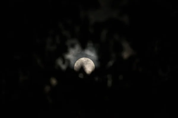 Luna Brilla Entre Los Árboles — Foto de Stock