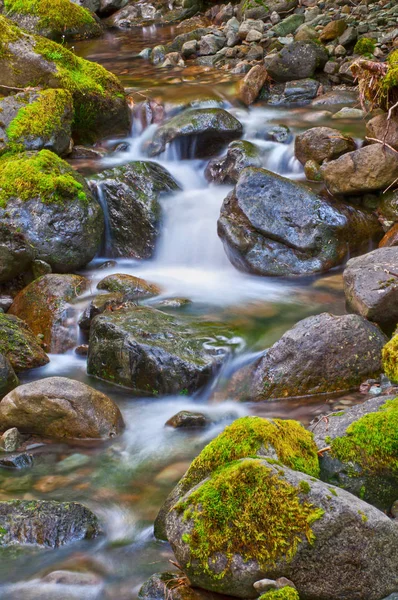 Small Waterfall Landscape Flows Moss Covered Rocks Motion Blur — Stock Photo, Image