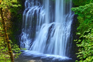 Alt Güney Falls gümüş Falls State Park içinde basamaklı şelale