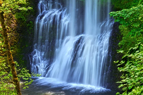 Vattenfall Kaskad Nedre Södra Falls Silver Falls State Park — Stockfoto