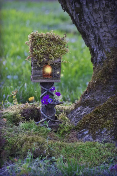 Fairy house with glowing fairy lights next to mossy apple tree trunk