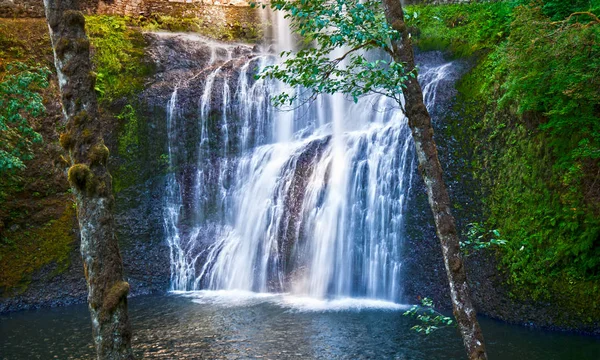 Vattenfall Kaskad Över Stenar Silver Falls State Park Oregon — Stockfoto