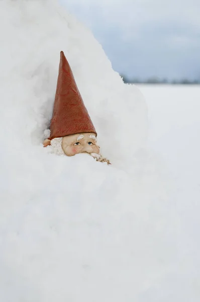 Gnome Sneeuw Die Betrekking Hebben Zijn Lichaam Veld Boerderij — Stockfoto