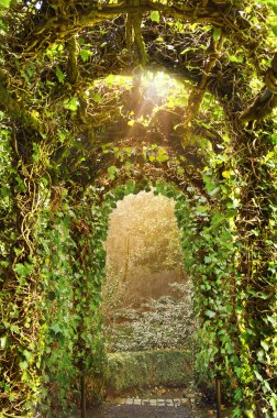 Archway of Ivy Trellis in English Garden with sun rays clipart