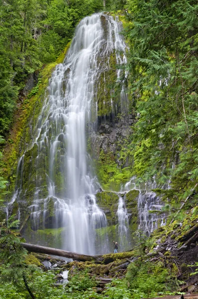 徒步旅行的人在远处指向森林中巨大的瀑布 — 图库照片