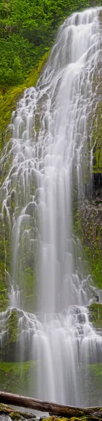 Vertikal Panorama Proxy Falls Vattenfall Oregon — Stockfoto