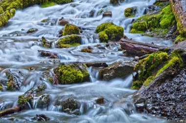 Ormanda çağlayan şelale ile yosunlu kayalar