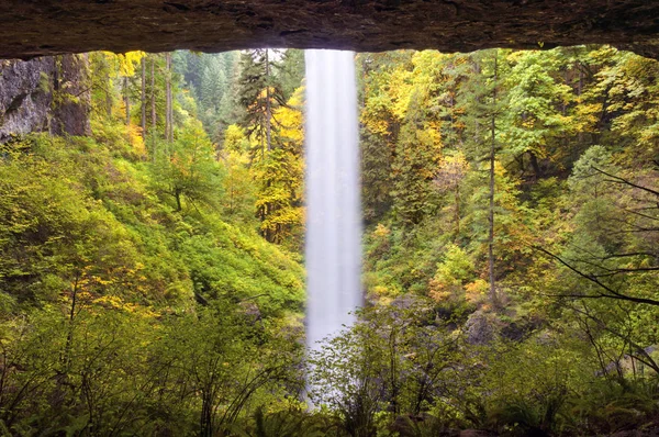 Waterfall landscape with autumn fall colors. Perspective from behind the waterfall in Silver Falls State Park, Oregon.