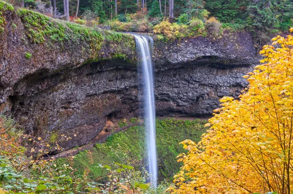 俄勒冈州银瀑布公园的瀑布 秋天的色彩生机勃勃 — 图库照片