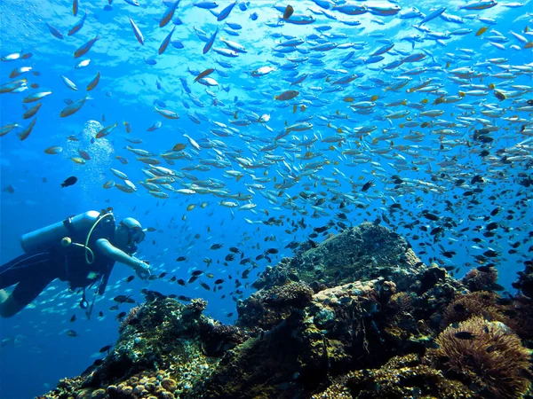 Sub Acuarelă Unui Scafandru Acvariul Oceanic Phi Phi Islands Thailanda — Fotografie, imagine de stoc