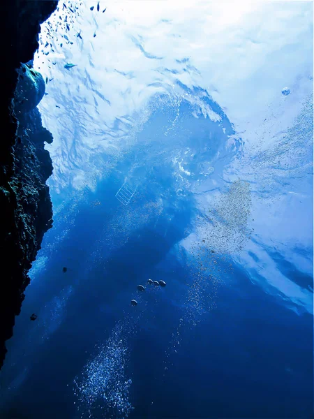 Derinlerden yükselen bir koku. Tayland 'daki Phi Phi Adaları' nda dalış yaparken çekilmiş bir sualtı fotoğrafı.