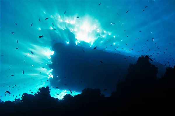 Photo Sous Marine Une Plongée Sous Marine Mer Rouge Egypte — Photo