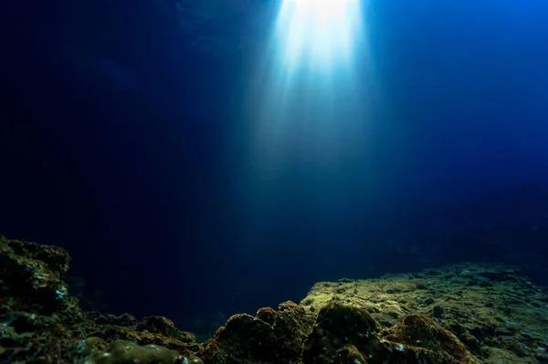 Cathédrales Lumière Sous Eau Une Diva Plongée Koh Haa Thaïlande — Photo