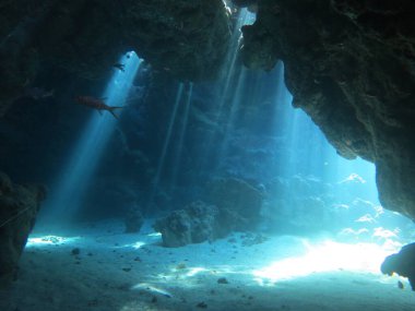 Suyun altında güneş ışığı ve ışınlar olan manzaranın sualtı fotoğrafı. Mısır 'daki Kızıl Deniz' deki bir dalıştan..