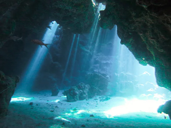 水下风景照片 阳光和光束在水下 从埃及红海的水肺潜水中 — 图库照片