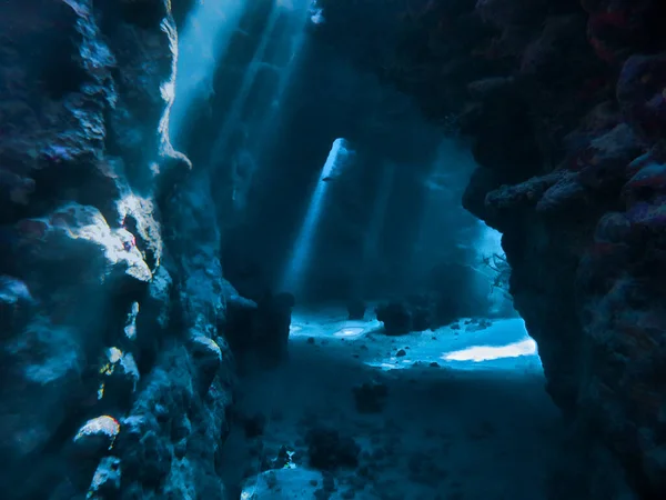 Foto Submarina Paisajes Con Luz Solar Rayos Bajo Agua Desde —  Fotos de Stock