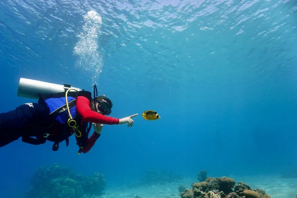 Undervattensfoto Rädd Dykare Och Små Tropiska Fiskar Från Ett Dyk — Stockfoto