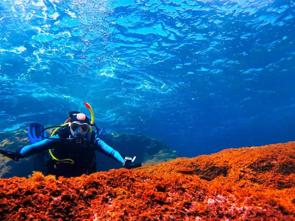 Foto Subaquática Mergulhador Mergulho Costa Ilha Hierro Oceano Atlântico Espanha — Fotografia de Stock