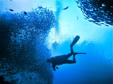 Tayland 'daki Phi Phi Adaları' ndaki Divesite Koh Bida Nok 'ta bir su altı dalgıcının ve balık sürüsünün sualtı fotoğrafı.