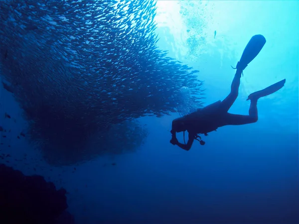 Podvodní Fotografie Potápěče Hejna Ryb Divesite Koh Bida Nok Ostrovech — Stock fotografie