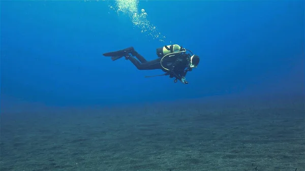 水下照片来自鳗鱼花园从大西洋El Hierro岛海岸外的潜水中跳出 — 图库照片