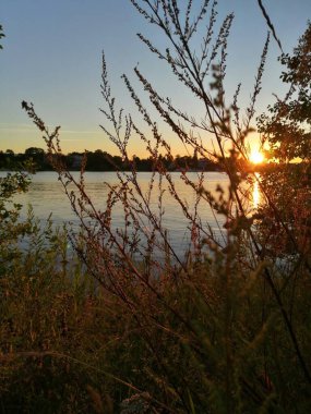 Harika bir yaz günbatımı arka planında kuru çimenler