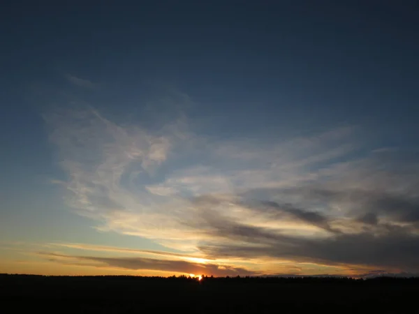 Landskap, en solig solnedgång på fältet — Stockfoto