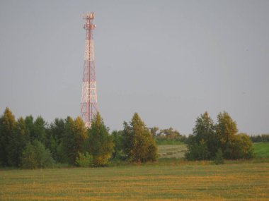Flora 'nın arka planında gün batımı, soyut yaz doğal arkaplan
