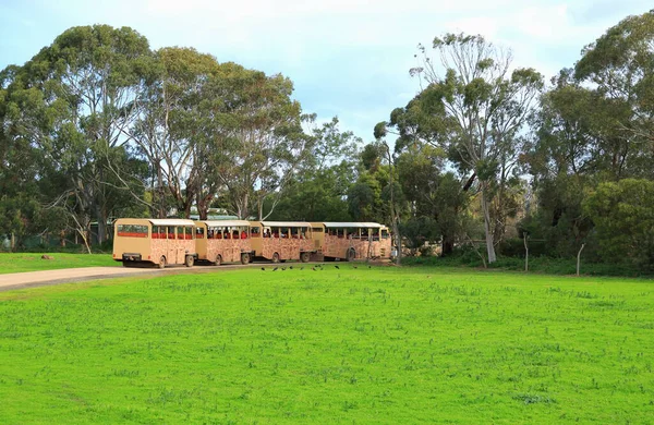 Melbourne Australien Juli 2014 Melbourne Open Space Zoo Med Safaribussarna — Stockfoto