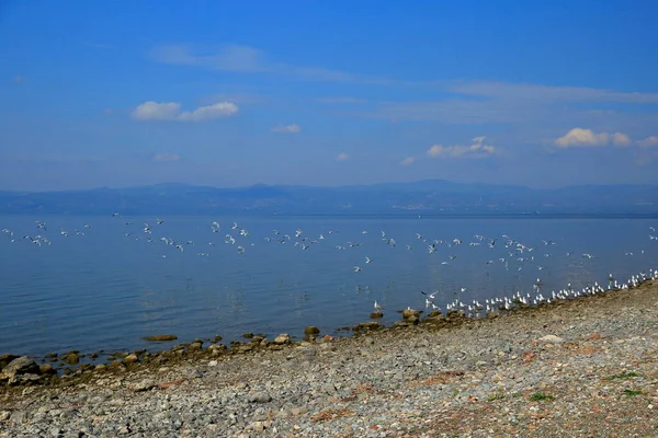 Iznik Gölü manzarası. (antik adı Nicea) İznik tarihi kenti göl boyunca kuruldu.Bursa, Türkiye