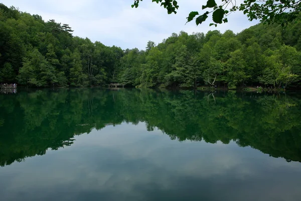 Yedigoller Ulusal Parkı. Toprak kaymaları sonucu oluşan 7 gölden oluşan bir ulusal parktaki göl manzarası çok çeşitli ağaç ve hayvanlara ev sahipliği yapar. Bolu, Türkiye.