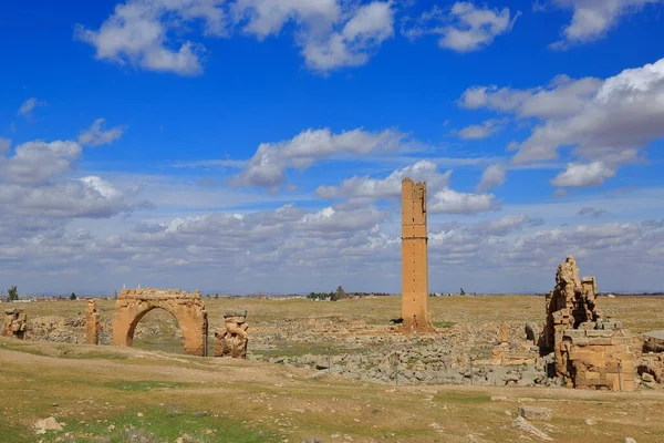 Universidade Mais Antiga Mundo Ruínas Século Vii Harran Turquia — Fotografia de Stock