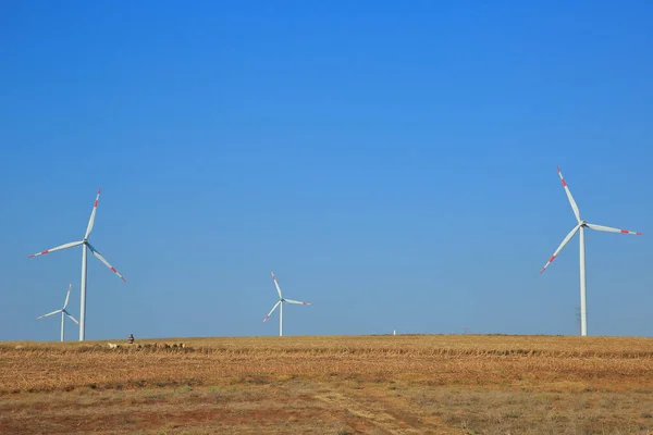 View Wind Turbines Spreading Rapidly World Clean Energy Turkey — Stock Photo, Image