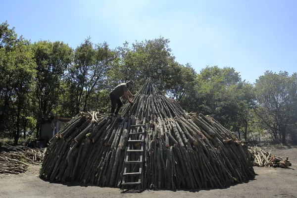 Tahtadan kömür yapmak için hazırlık. Silivri, Türkiye. Ormanda kömür üretimi için hazırlanmış bir odun yığını..